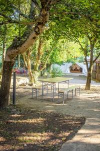 a picnic table under a tree in a park at LaranjaLimão in Freixo