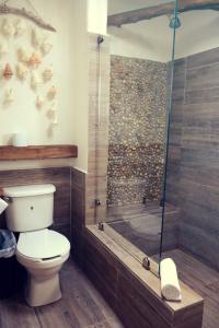 a bathroom with a toilet and a glass shower at Almaplena Boutique Hotel in Mahahual