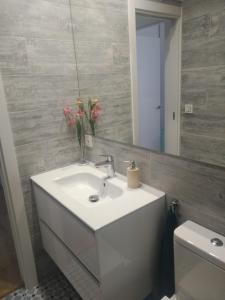 a bathroom with a sink and a mirror and a toilet at Acogedor apartamento en Zumaia in Zumaia