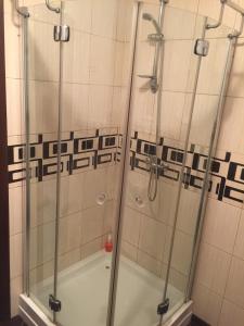 a shower with a glass door in a bathroom at hotel ON in Zhytomyr