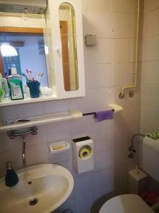 een badkamer met een wastafel, een toilet en een spiegel bij Apartma Ajdovka Rogla in Vitanje