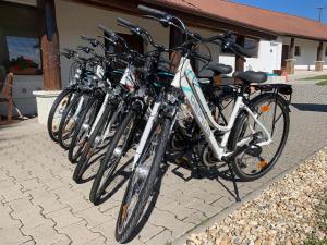 Gallery image of Pillangó Vendégház in Tállya