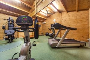 Fitness centrum a/nebo fitness zařízení v ubytování Hotel Aurelia