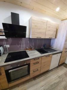 uma cozinha com um lavatório e um fogão forno superior em Appartement Vars Sainte Marie 6 personnes em Vars