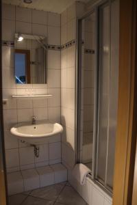 ein Bad mit einem Waschbecken und einer Dusche in der Unterkunft Landhaus Burs in Löningen