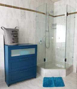 a bathroom with a shower with a blue dresser at An den Auwiesen in Kleineicholzheim +27 photos