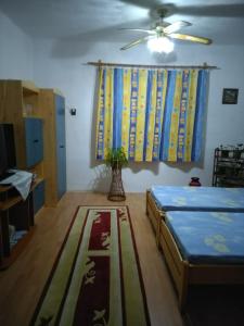 a bedroom with a bed and a ceiling fan at Rózsa vendégház in Abádszalók