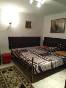 1 dormitorio con 1 cama grande en una habitación en Rózsa vendégház, en Abádszalók