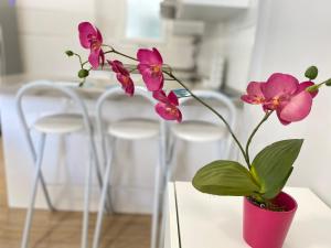 カンブリルスにあるSol Cavet con jardin Portaventuraのテーブルの上にピンクの花を飾った赤い花瓶