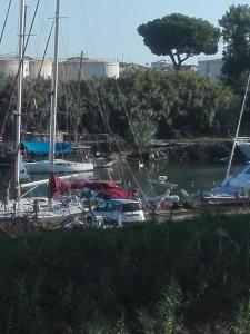 un groupe de bateaux amarrés dans un port dans l'établissement A Santy's RoomsBAGNO CONDIVISO SHARED BOTHROOM2piano no lift NO SHUTTLE -NO PASTI NO MEAL,- A PAGAMENTO AIR CONDIT FOR A FEE extra bed FOR A FEE-letto extra A PAGAMENTO -3 MINUTI A PIEDI DA BUS PER FIERA DI ROMA, à Fiumicino