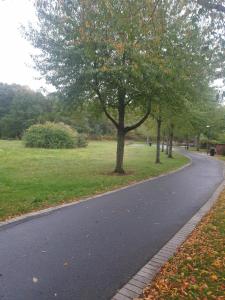 un camino sinuoso en un parque con árboles y césped en Apartement 24, Hotell, en Estocolmo