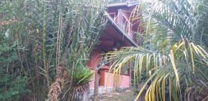 un bâtiment au milieu de palmiers dans l'établissement Chalés Vale Verde, à Visconde de Mauá