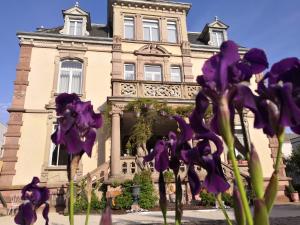 un edificio con fiori viola di fronte di Castelnau a Colmar