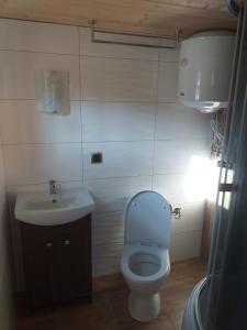 a bathroom with a toilet and a sink at Osada nad żurawim stawem in Krzywogonice