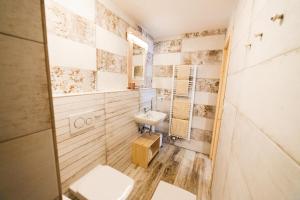 a bathroom with a sink and a toilet and a mirror at Pension Linda in Harrachov