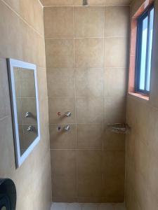 baño con ducha y puerta de cristal en Hotel Arbis, en Puebla