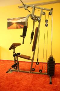 Fitness centrum a/nebo fitness zařízení v ubytování Černý Kocour Apart hotel