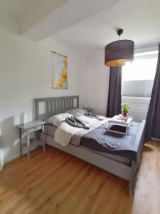 Schlafzimmer mit einem Bett, einem Schreibtisch und einem Fenster in der Unterkunft Ferienwohnung Seebär in Emden