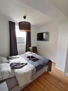 een slaapkamer met een bed en een hanglamp bij Ferienwohnung Seebär in Emden