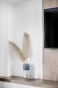 Televisor o centre d'entreteniment de Million Sunsets Luxury Apartments