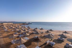 grupa parasoli i leżaków na plaży w obiekcie Royal Lagoons Resort & Aqua Park Families and Couples Only w mieście Hurghada