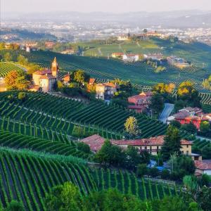 un pueblo en una colina con viñedos y una iglesia en Sul Bric Dei Capalot, en La Morra