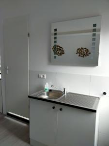 a kitchen with a sink and a white cabinet at Logeren op Dijk43 in Broek op Langedijk