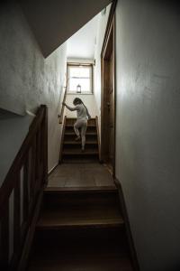 Fotografie z fotogalerie ubytování Ve Stodole v destinaci Zlatá Olešnice