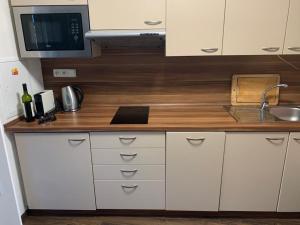Kuchyň nebo kuchyňský kout v ubytování Apartmán u pláže s terasou