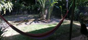 a hammock in a garden in a yard at Casa Arlecchino in Puerto Viejo