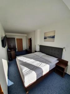 een slaapkamer met een groot bed in een kamer bij Hotel CHODOV ASC in Praag