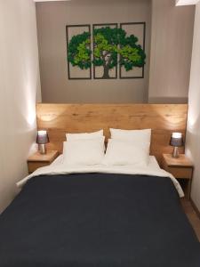 a bedroom with a large bed with two lamps at Apartament Góry i Potok in Porąbka