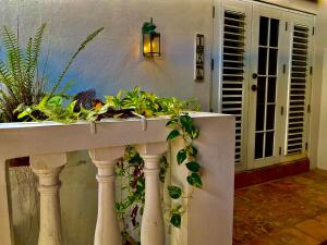 um plantador sobre uma parede com plantas sobre ele em At Wind Chimes Boutique Hotel em San Juan