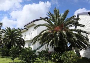 Gallery image of Jeju Resortel in Jeju