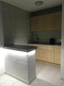 Kuchyň nebo kuchyňský kout v ubytování Estudios y Apartamentos Benal Beach