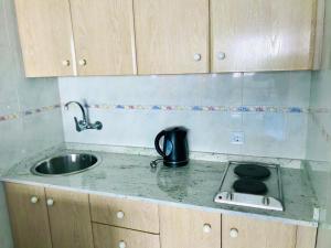 Kuchyň nebo kuchyňský kout v ubytování Estudios y Apartamentos Benal Beach