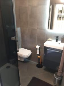 ein Bad mit einem WC und einem Waschbecken in der Unterkunft Minimal House in Szczyrk