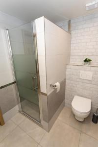 a bathroom with a shower and a toilet at Horský dom Apartmány in Levoča