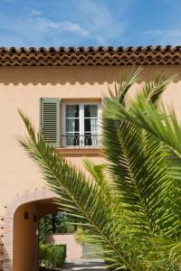 a palm tree in front of a house with a window at Les Maisons Du Sud in Saint-Tropez