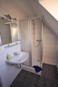 W łazience znajduje się umywalka i prysznic. w obiekcie Beerenvilla w mieście Altenberg