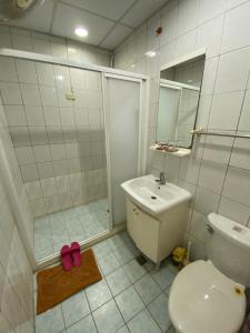 a bathroom with a toilet and a shower and a sink at 以諾亞的家 in Linbian
