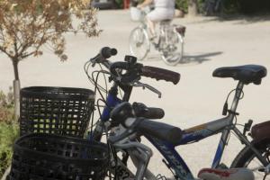 Jízda na kole v ubytování Camping Platja Cambrils nebo okolí