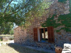 Vonkajšia záhrada v ubytovaní Finca Cas Canar