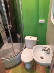 a green bathroom with a toilet and a sink at Pokoje Gościnne Monika Szling in Zakopane