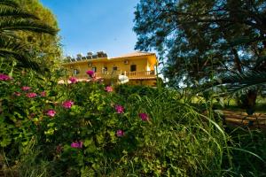 a yellow house with pink flowers in front of it at Rooms Leonidas in Kissamos