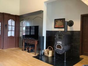 a living room with a wood stove and a television at Apartment in Buchholz