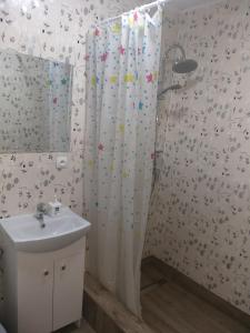 La salle de bains est pourvue d'une douche, d'un lavabo et d'un miroir. dans l'établissement Domek Dwupokojowy N4 - FreezerHause Kozery- NoclegiGrodziskPL 792-535-535, à Grodzisk Mazowiecki