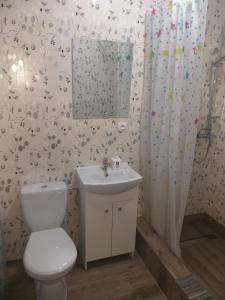 La salle de bains est pourvue de toilettes, d'un lavabo et d'un miroir. dans l'établissement Domek Dwupokojowy N4 - FreezerHause Kozery- NoclegiGrodziskPL 792-535-535, à Grodzisk Mazowiecki