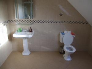 Vannituba majutusasutuses The Curragh Country House Accommodation +37 fotot