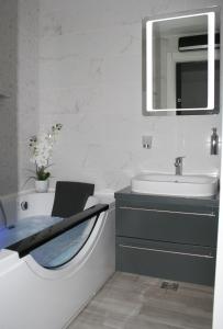 W łazience znajduje się umywalka, toaleta i lustro. w obiekcie Spa Panorama w Belgradzie
